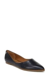 Zodiac Hill Pointed Toe Flat In Navy Leather