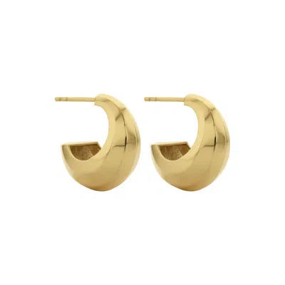 Zoe And Morgan Women's Cira Hoop Earrings Gold