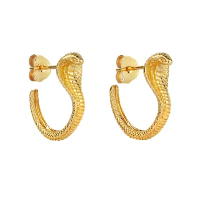 Zoe And Morgan Women's Cobra Hoops Gold