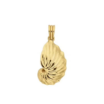 Zoe And Morgan Women's Paper Nautilus Charm Gold