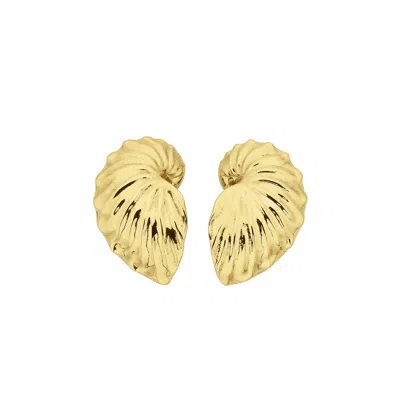 Zoe And Morgan Women's Paper Nautilus Earrings Gold