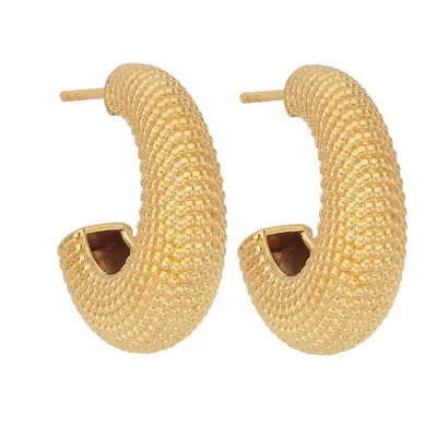 Zoe And Morgan Women's Rhea Earrings Gold