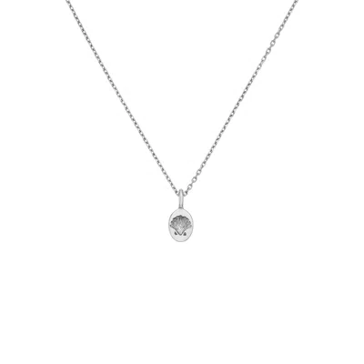 Zoe And Morgan Women's Secret Society Of Shell Lovers Necklace - Sterling Silver
