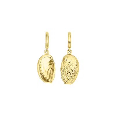 Zoe And Morgan Women's Soul Paua Earrings - Gold Vermeil