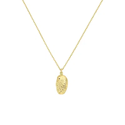 Zoe And Morgan Women's Soul Paua Necklace - Gold Vermeil
