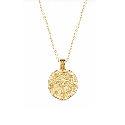 Zoe And Morgan Women's Sun In Aries Necklace - Gold Vermeil