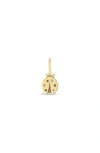 Zoë Chicco Midi Bitty Diamond Ladybug Charm