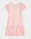 Zoe Girl's Amanda Floral Embroidered Drop-waist Dress In Pink