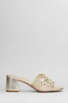 Zolfo Slipper-mule In Nude