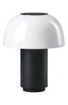 Zone Denmark Harvest Moon Indoor/outdoor Lamp In Black