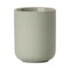Zone Denmark Toothbrush Mug In Eucalyptus