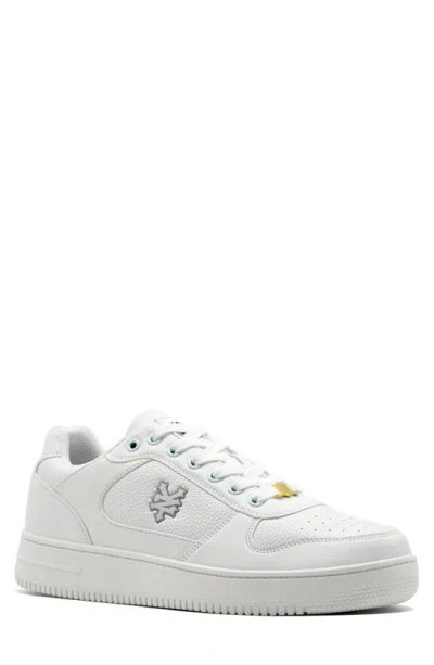 Zoo York Bank Low Top Sneaker In White