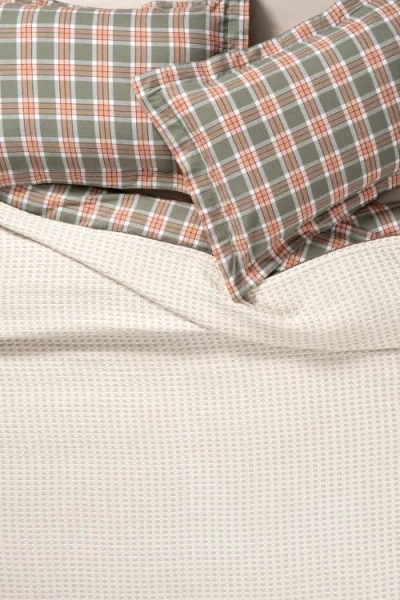 Zsa Zsa Zsu Costa Border Embroidered Cotton Piqué King Coverlet In Brown