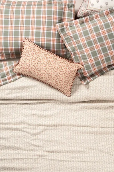 Zsa Zsa Zsu Costa Fringed Cotton Piqué King Coverlet In Brown