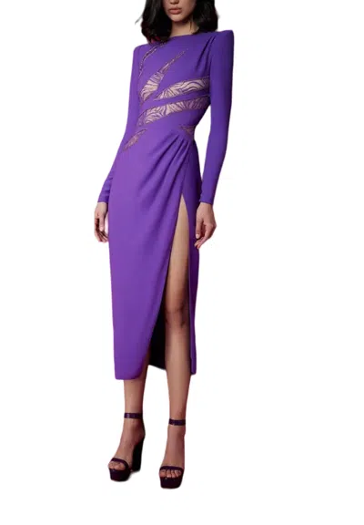 Zuhair Murad Cady And Zebra Lace Intarsia Dress In Amaranth In Multi