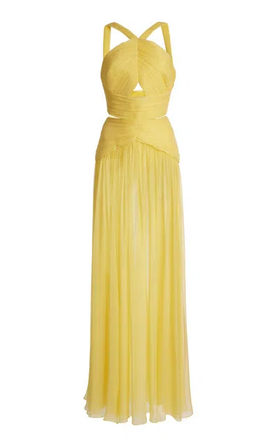 Zuhair Murad Silk Chiffon Draped Capelet Maxi Dress In Yellow