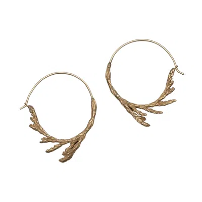 Zula Jewelry + Design Women's Gold Sacred Cedar Hoop Earrings, Bronze