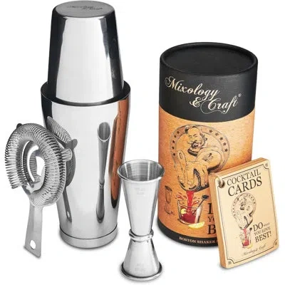 Zulay Kitchen Mixology Portable Cocktail Shaker Boston Shaker Set (silver)