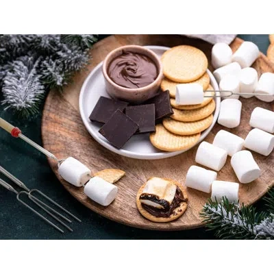 Zulay Kitchen Sturdy Marshmallow Sticks For Fire Pit Extra Long - Great Smores Sticks Smores Kit Fire Pit 12 Pack  In Silver