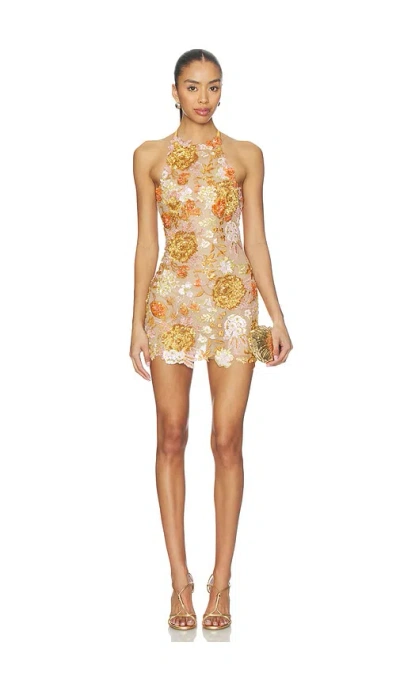 Zuleyha Kuru Manon Dress In Multi