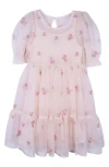 Zunie Kids' Embroidered Mesh Dress