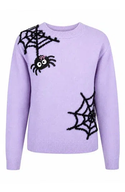 Zunie Kids' Spider Graphic Sweater In Purple