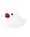 Zuny Java Sparrow Paperweight In White