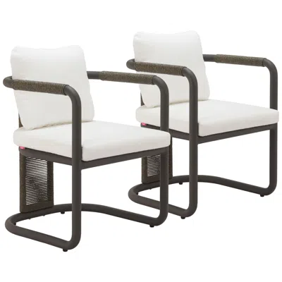 Zuo Ciel Dining Chair Ivory Set Of 2