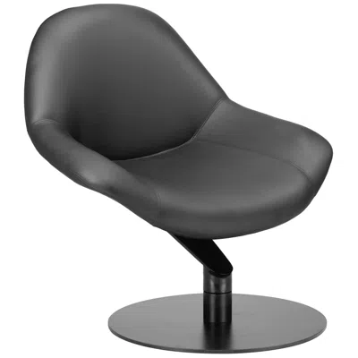 Zuo Poole Accent Chair Black