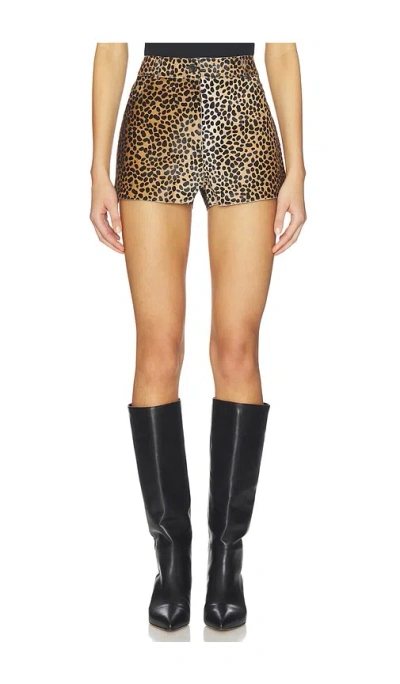 Zut Ellis Shorts In Multi