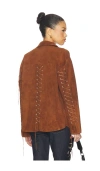 Zut Darby Studded Suede Jacket In Brown