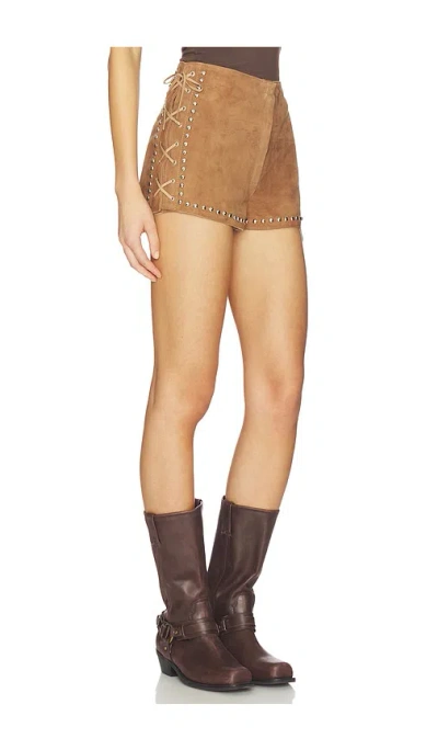 Zut Zabeel Shorts In Brown
