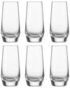 Zwiesel Glas S Pure Tritan Crystal Stemless Champagne Flutes (set Of 6) In Clear