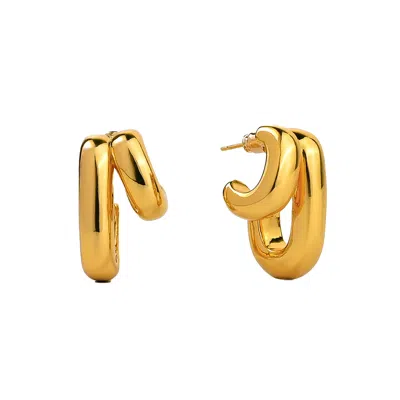 Zynnia Collective Women's Gold Illusion Hoops