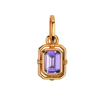 Zynnia Collective Women's Gold / Purple February/ Amethyst Birthstone Charm