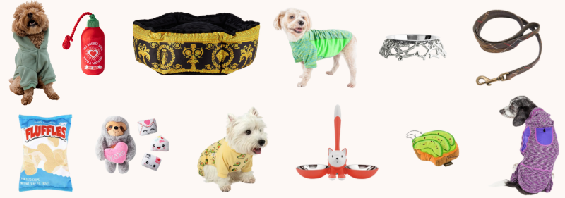 National Pet Day: Best Gifts For Your Pet Based On Their Zodiac Sign