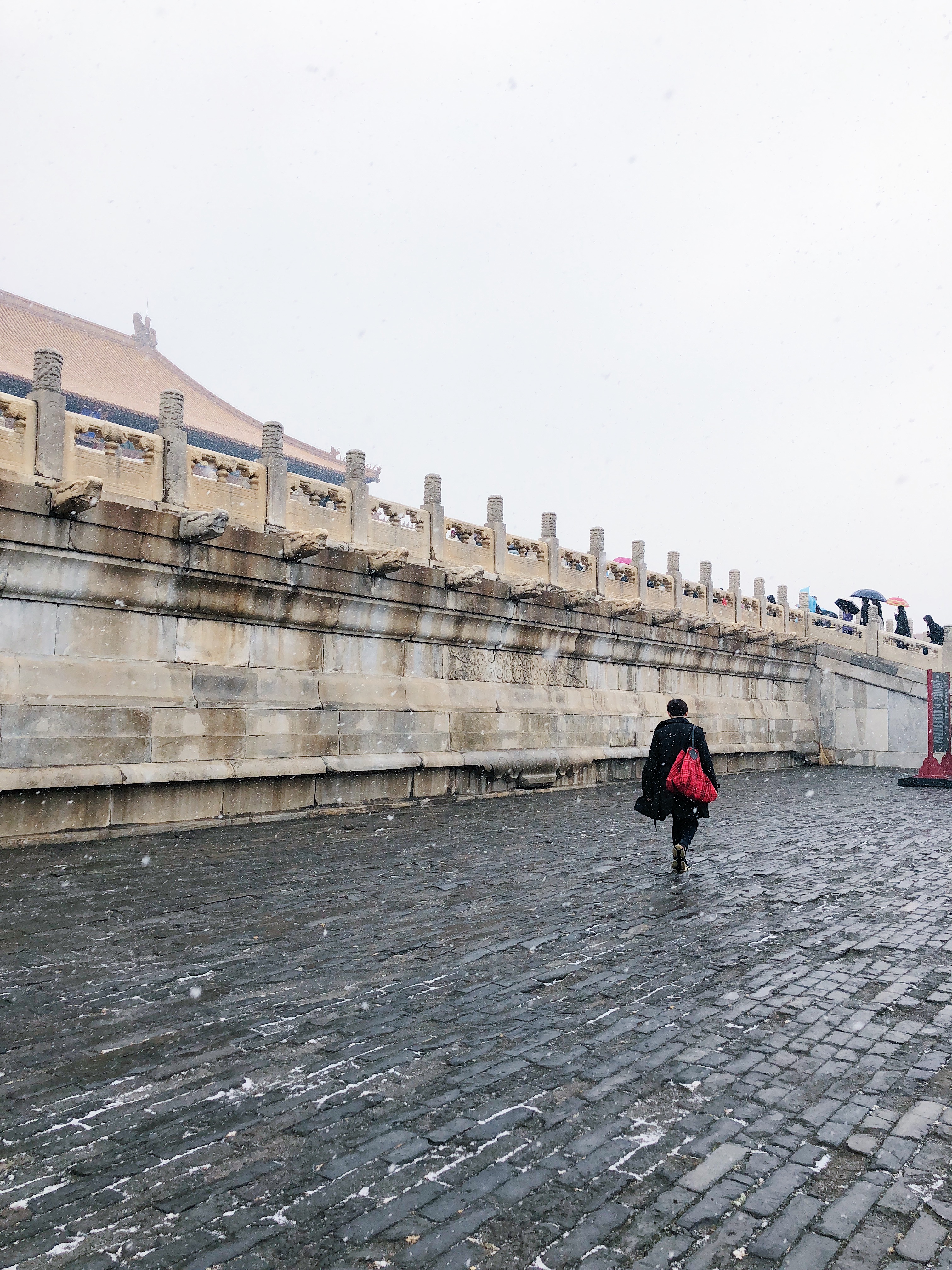The best place to go in Beijing? The Forbidden City in snow!!!