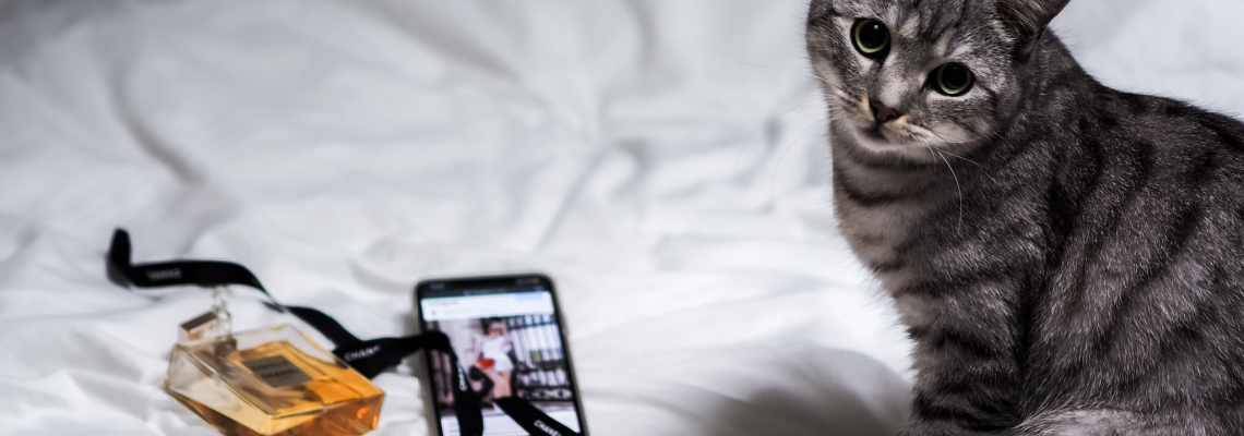 How To Find All The Best Black Friday Deals by ModeSens