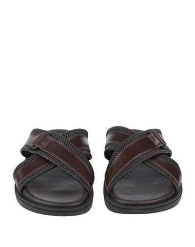 Shop Pollini Sandals In Dark Brown