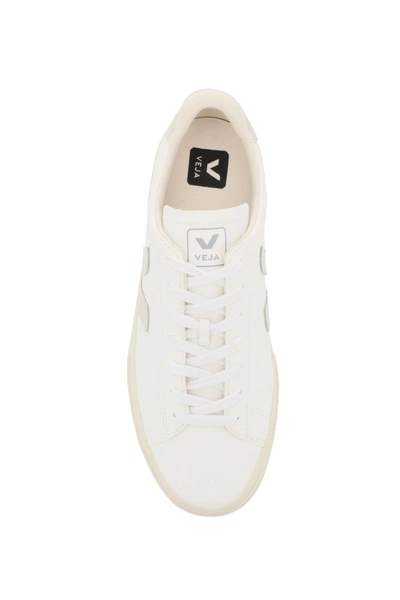 Shop Veja In Extra White Natural Suede