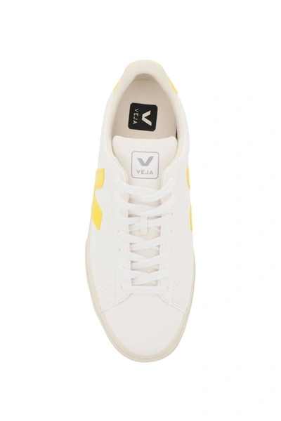 Shop Veja Campo Chromefree Leather Sneakers In Extra White Tonic