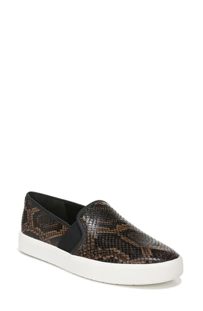 Shop Vince Blair 5 Slip-on Sneaker In Coffee Snake Print