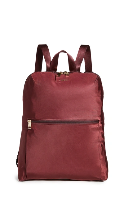 Shop Tumi Just In Case Backpack In Cordovan