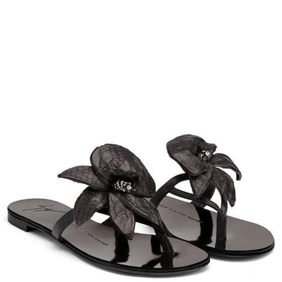 Shop Giuseppe Zanotti - Black Leather Sandal With Flower Accessory Alyssa