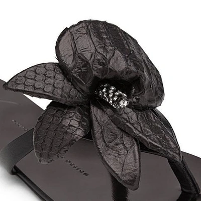 Shop Giuseppe Zanotti - Black Leather Sandal With Flower Accessory Alyssa