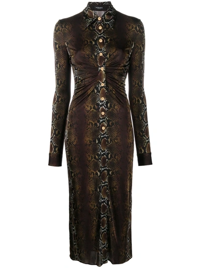 Shop Versace Snakeskin Print Shirt Dress In Brown