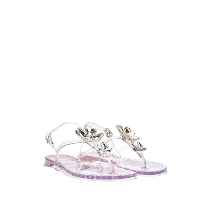 Shop Casadei Jelly In Ice