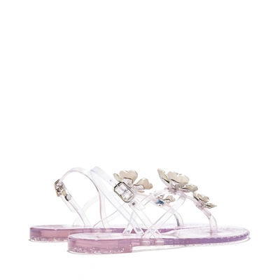 Shop Casadei Jelly In Ice