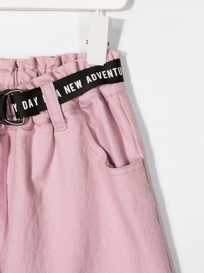Andorine Belted Wide-leg Trousers In Pink