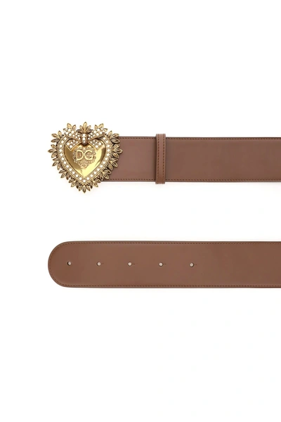 Shop Dolce & Gabbana Devotion Leather Belt In Castagno